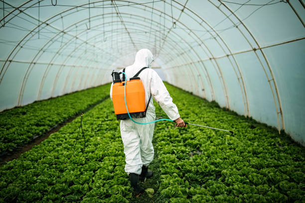 Best Local Pest Control Services  in Los Altos, CA