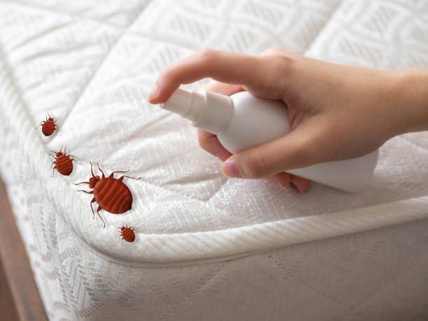 Best Exterminator Services  in Los Altos, CA